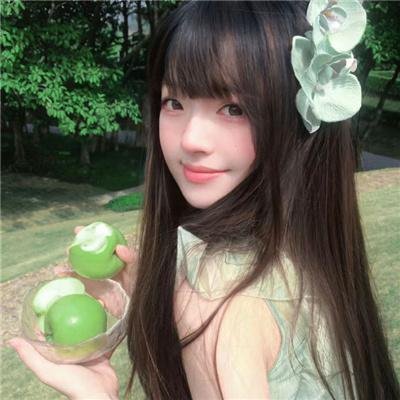 宫崎骏与苍鹭